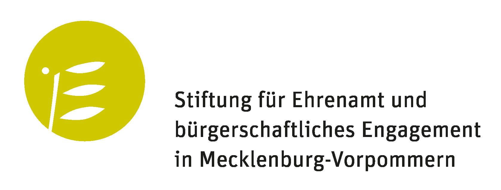 Ehrenamtstiftung